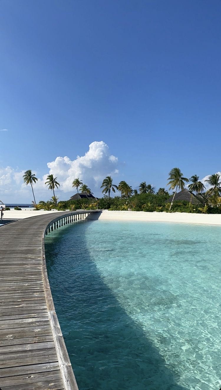 Career opportunities at Only Gems Management — join the #1 OnlyFans and Fanvue creator management agency team