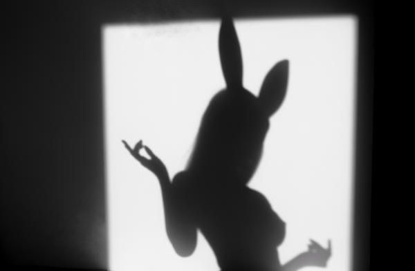 OGM Affiliate Program Management - OnlyFans and Fanvue creator management service